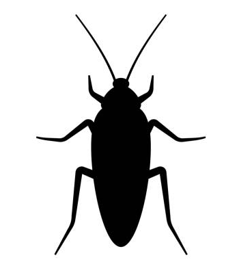 Hamam Böceği