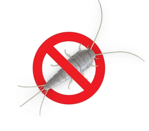 Gümüşçün Böceği İlaçlama